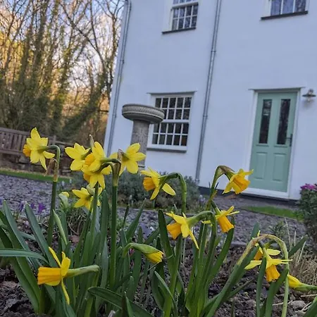 Riverside Cottage Walking Distance Into Caernarfon Exterior photo