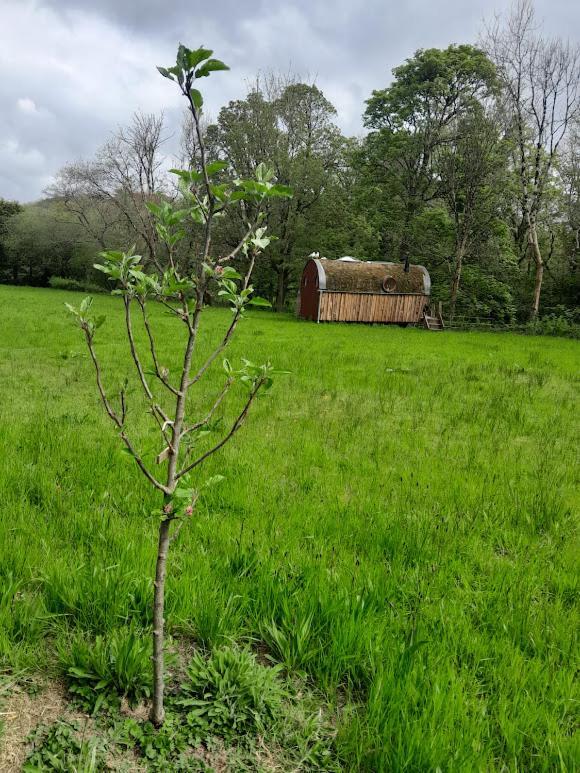 Riverside Walking Distance Into Holiday home *